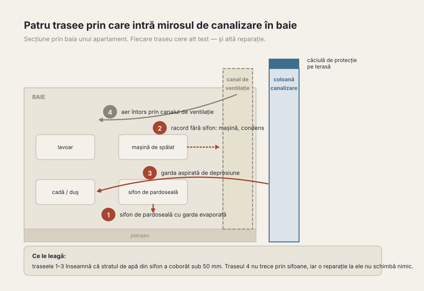 Patru trasee prin care intră miros de canalizare în baie: sifon evaporat, racord fără sifon, gardă aspirată și canal de ventilație